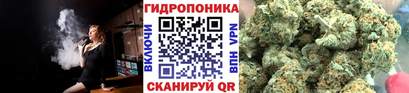 где продают   Сычёвка  Каннабис семена 